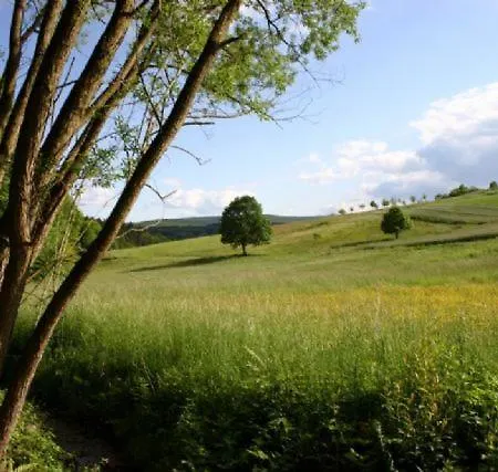 Type Scout 42 Resort *