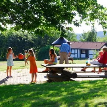 Type Scout 42 Ronshausen