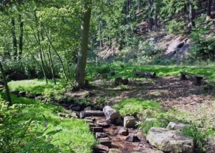 Type Scout 42 منتجع Ronshausen