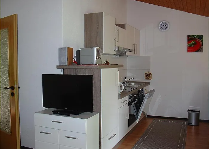 Type Scout 42 منتجع