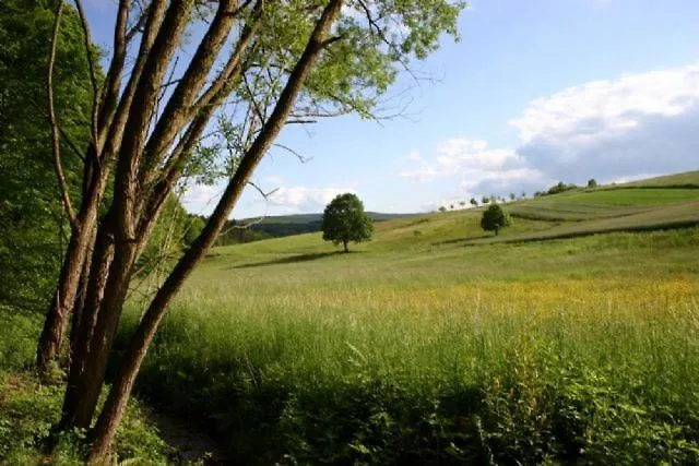 Type Scout 42 منتجع *