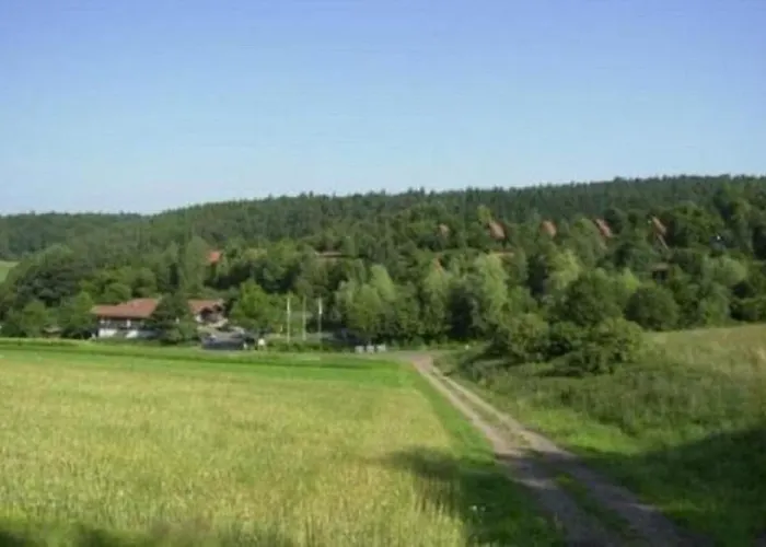 Type Scout 42 Ronshausen